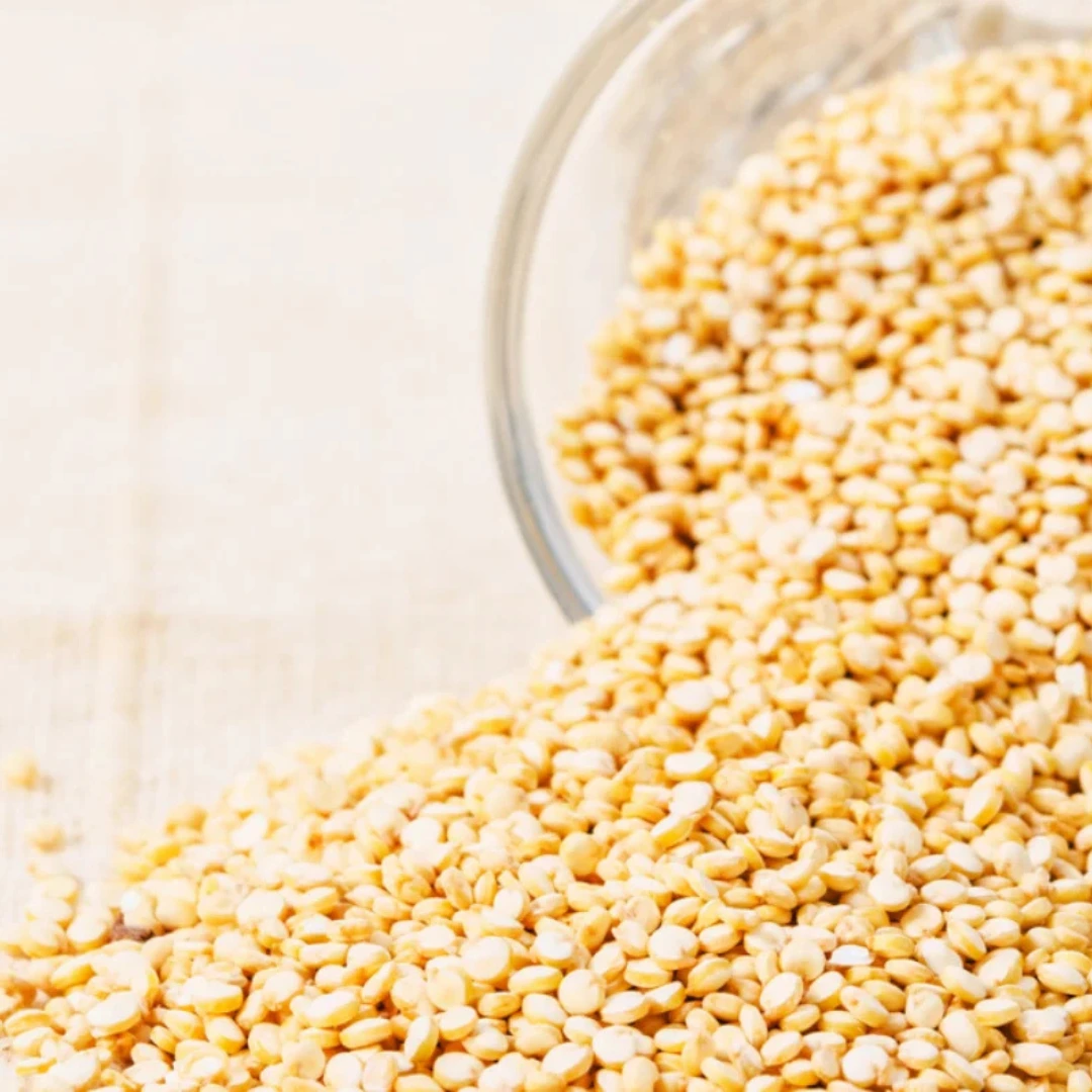 Untitled design (66)